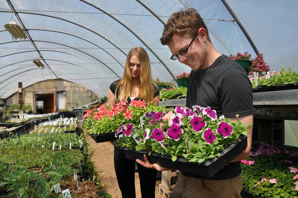 Creativity blooms with a Horticulture degree Southwestern Illinois