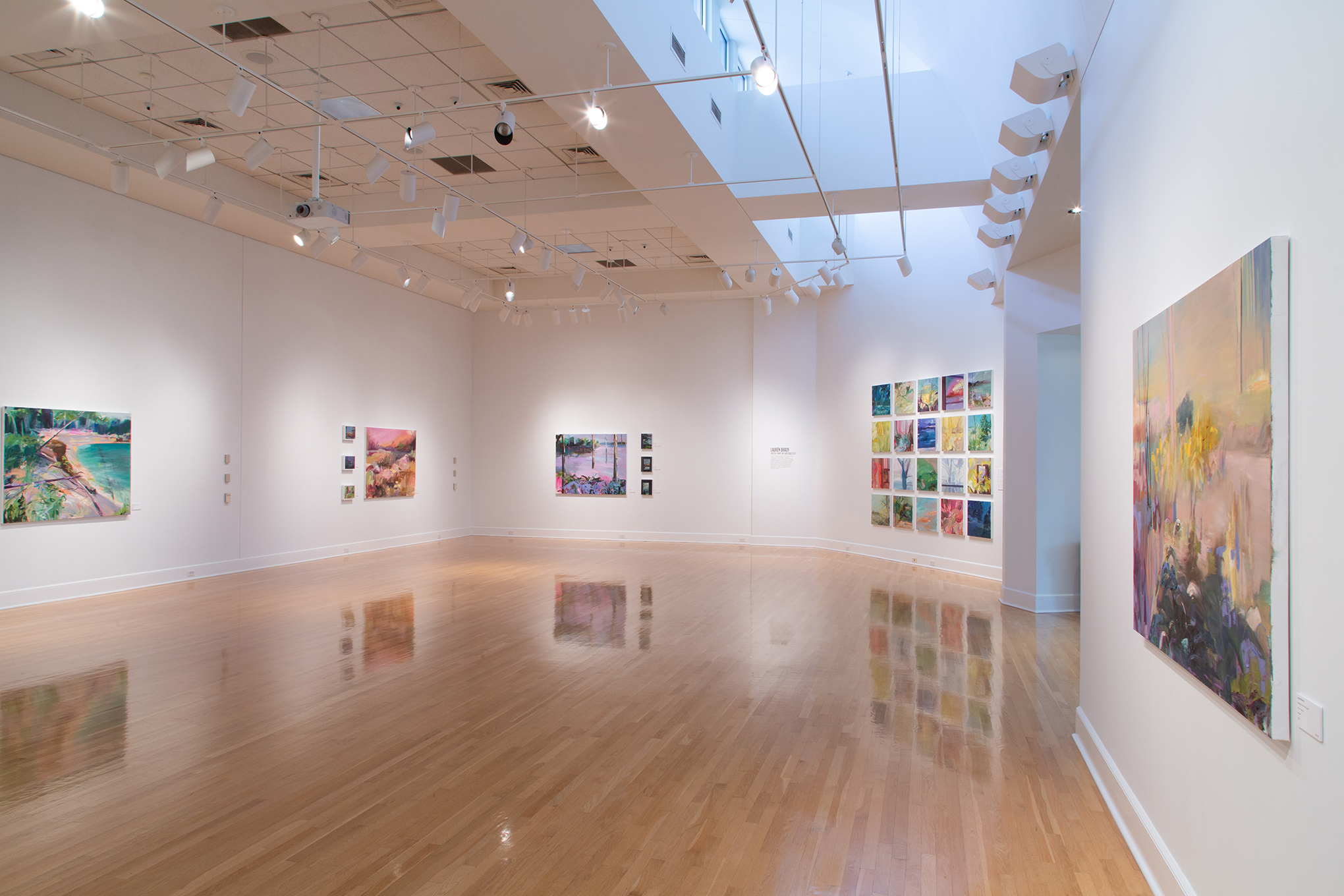 Lauren Brady Display Schmidt Art Center