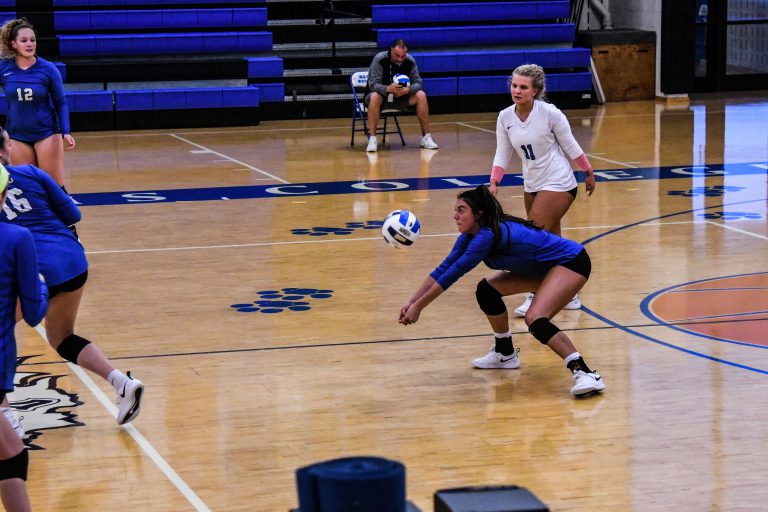 Women's Volleyball Roster Southwestern Illinois College