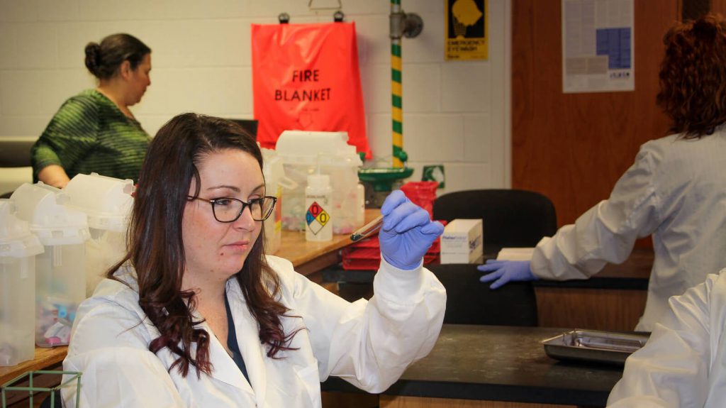 Southwestern Illinois College medical lab technician students work on a practical lab exercise.