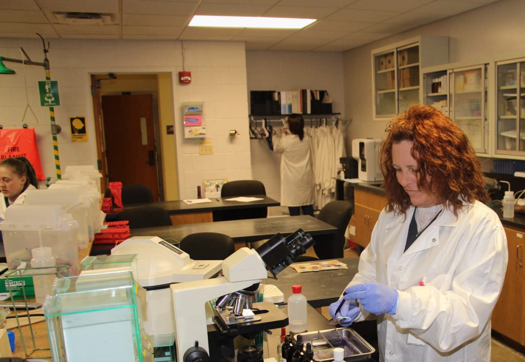 Southwestern Illinois College medical lab technician students work on a practical lab exercise.