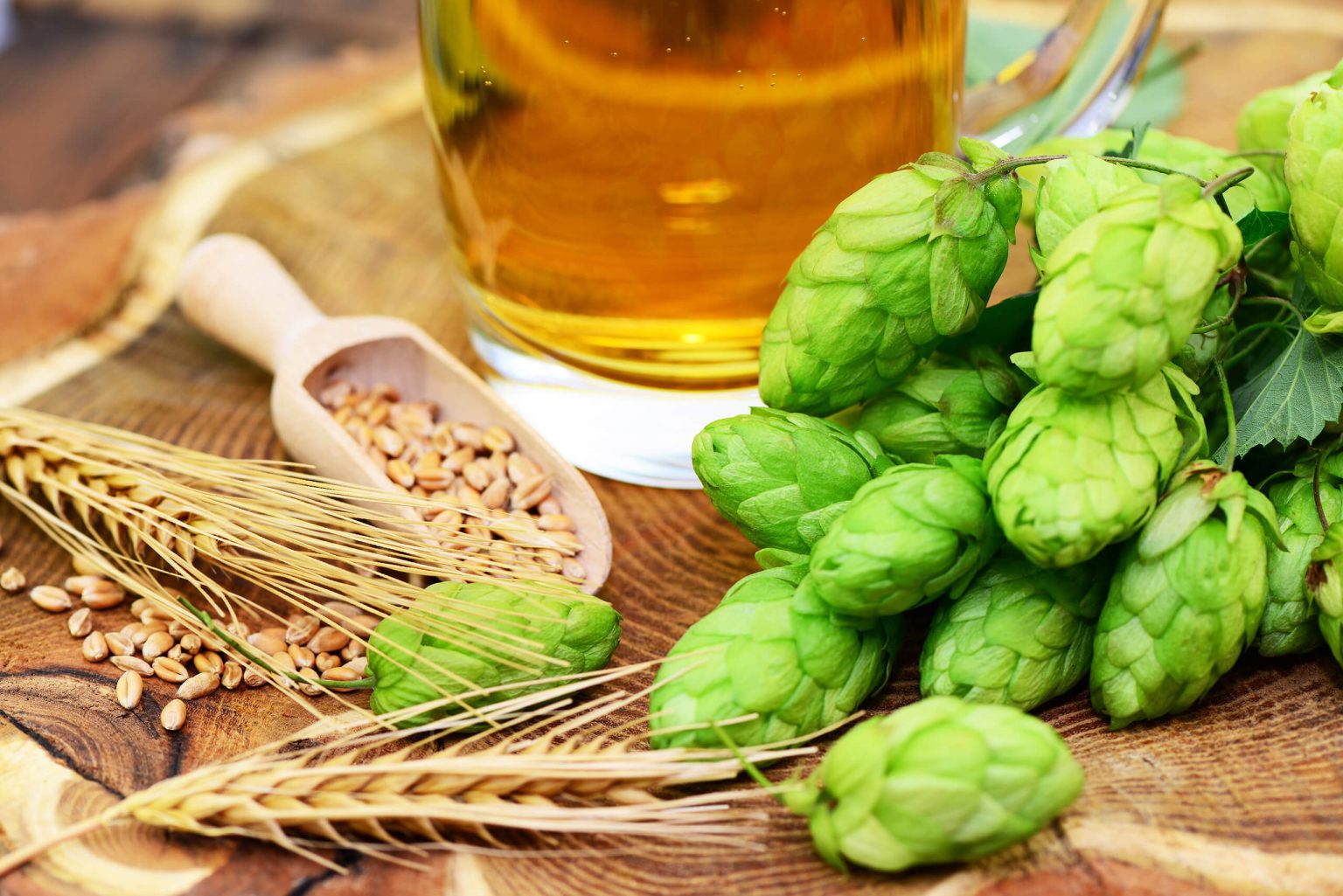 Brewing Certificate Curriculum Southwestern Illinois College