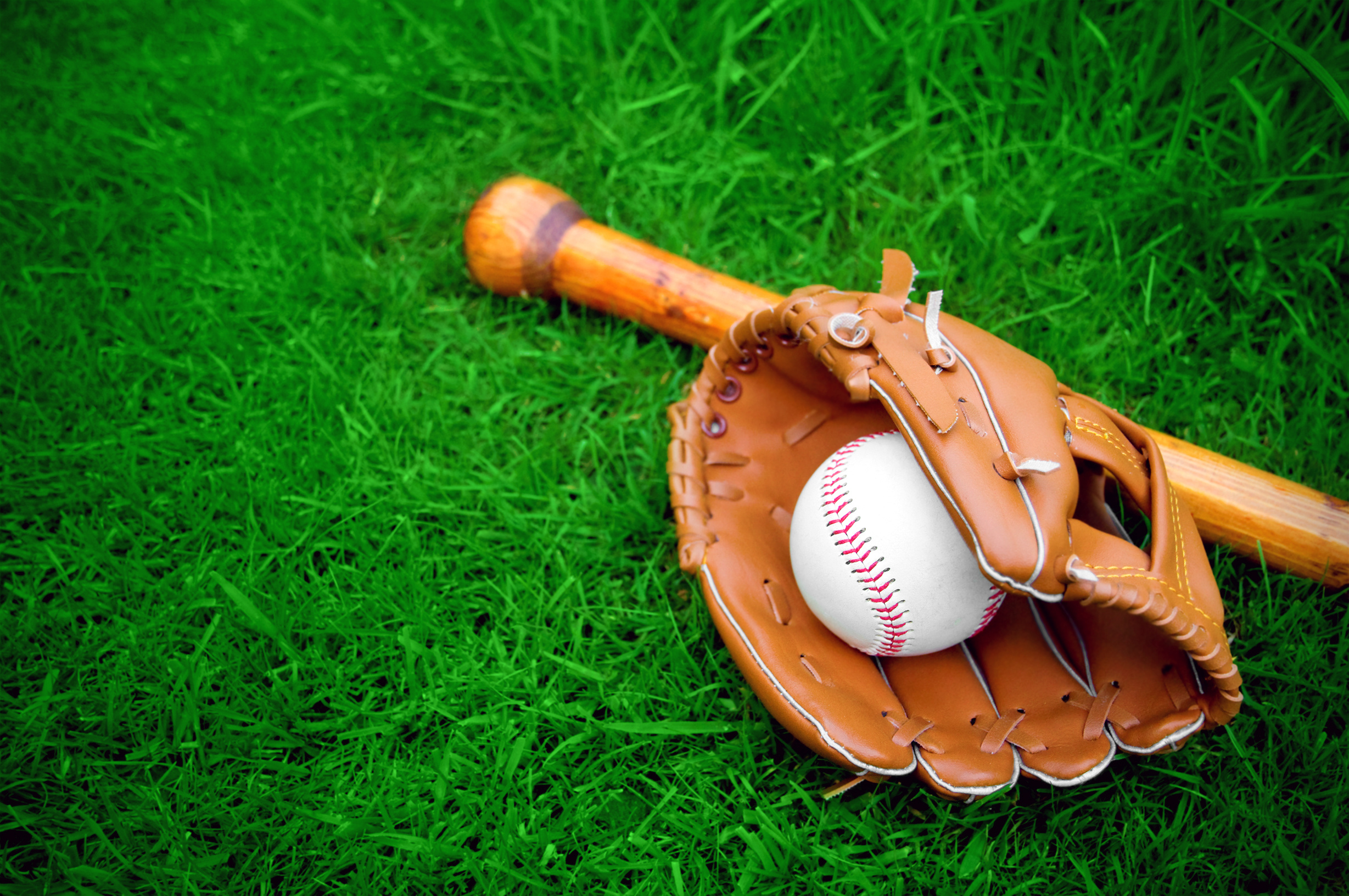 baseball bat, glove and ball in grass