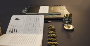 Cannabis bud lineup, stationery, jar, pages on black back