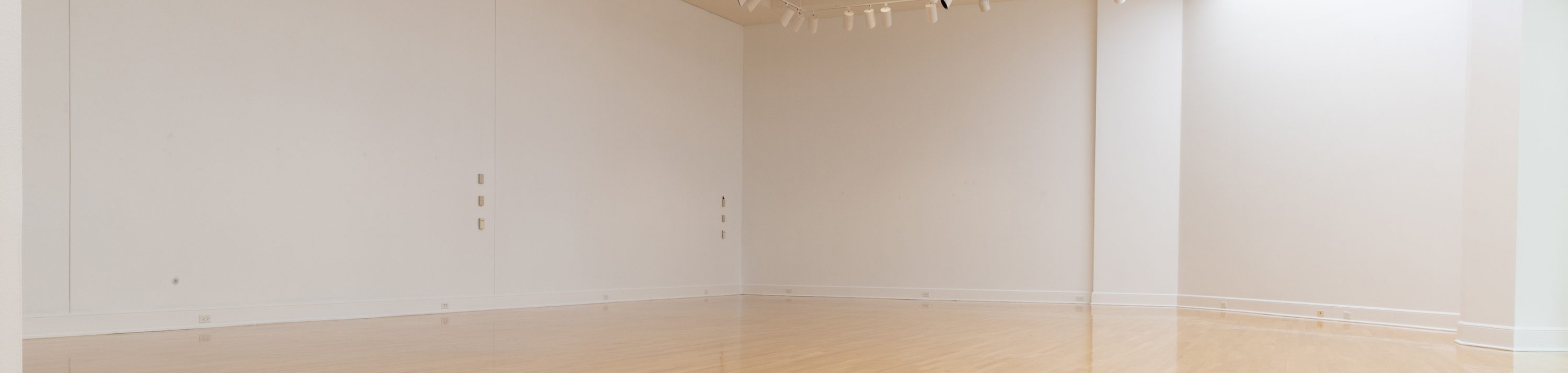 Blank interior of the Schmidt Art Center Marsh Gallery.