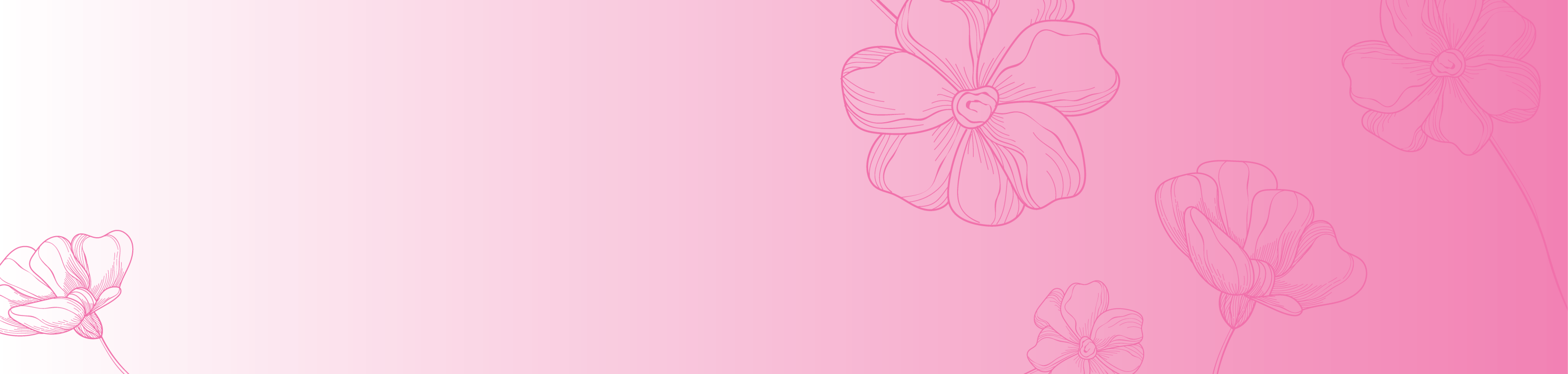 schmidt swift website banner SACA